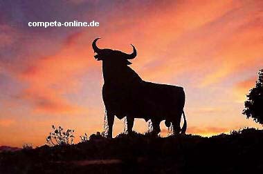 Der Stier Andalusiens