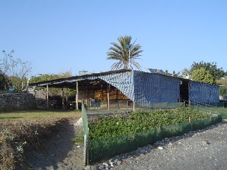 Jardines del Mar - 2004
